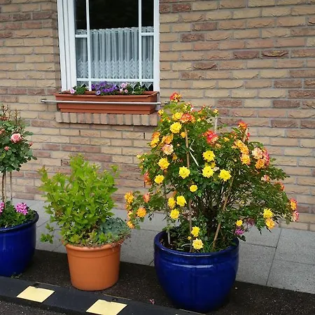 City Hotel Hilden 3*